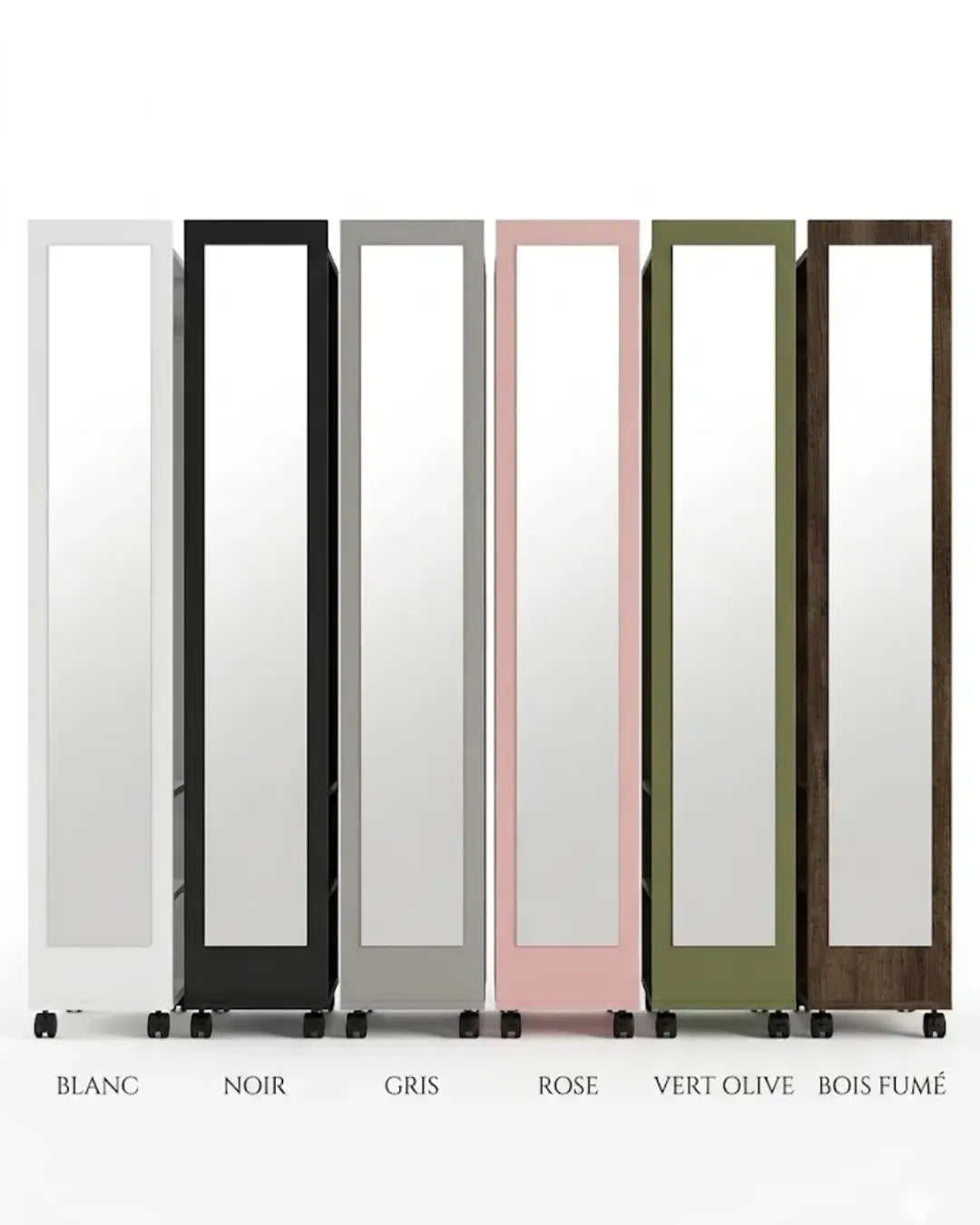miroir pleine longueur avec penderie et étagères modèle Valéria nuancier de couleur